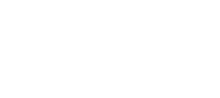 DeCamion